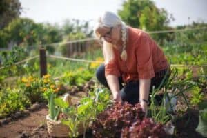 chemical free farming