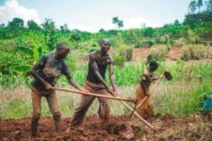 What was subsistence farming